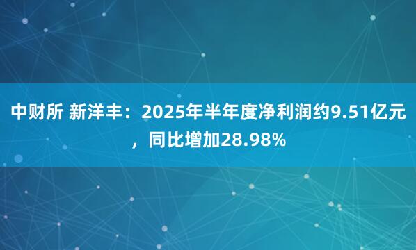 中财所 新洋丰:2025年半年度净利润约9.51亿元,同比增加28.98%