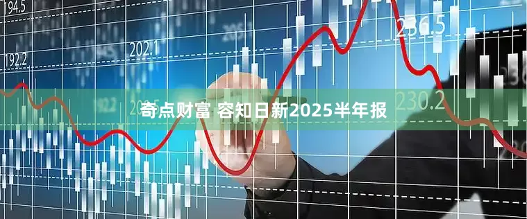 奇点财富 容知日新2025半年报